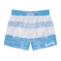 Blue Watercolor Stripe Swim Trunks